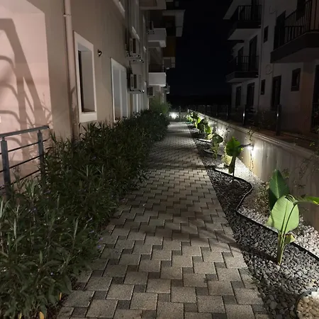 Olive פאטהיה